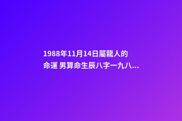 1988年11月14日屬龍人的命運 男算命生辰八字一九八八年十一月十四日中午十二點零五分出生-第1張-觀點-玄機派